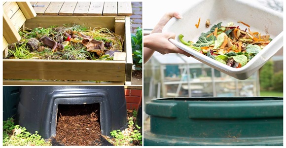 - 2020-12-18_kompostownik.jpg